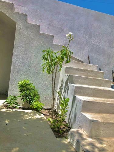 Apartamento Khayatlife Pipa