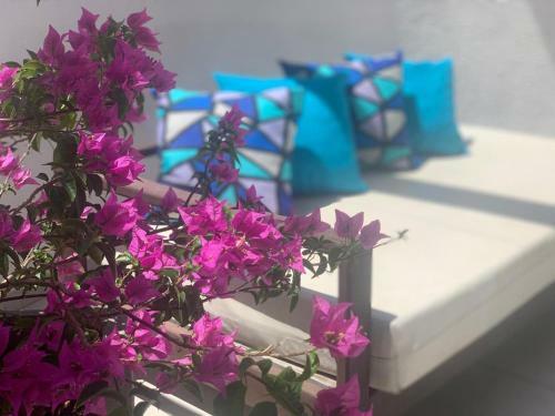 Hostal Vila Da Pipa Su�tes