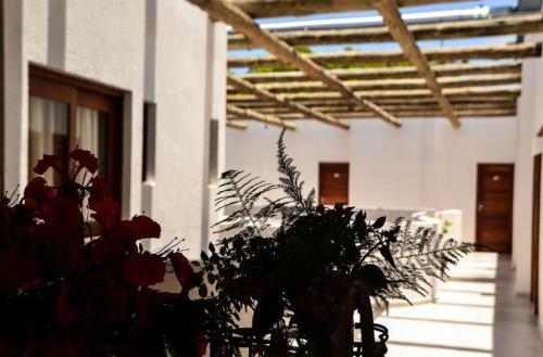 Hostal Vila Da Pipa Su�tes