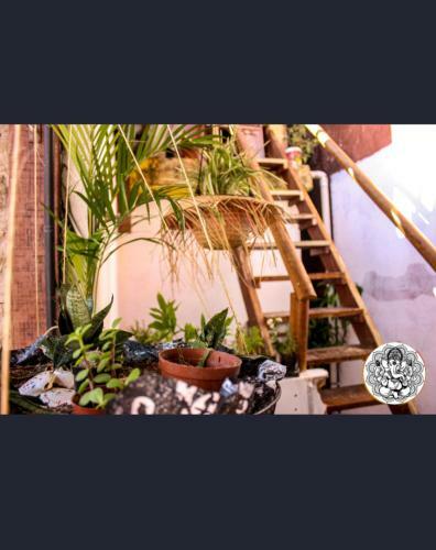 Posada Ganesha Pousada E Hostel