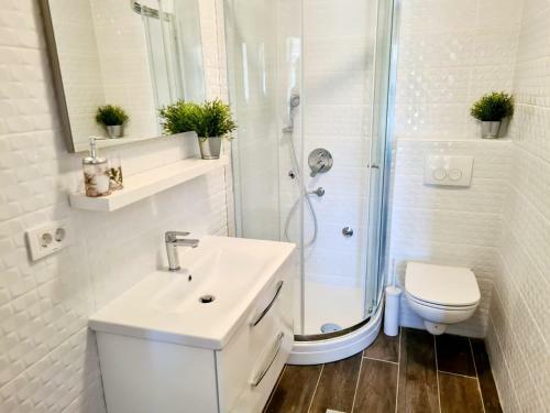 Apartmani Petra-3 Min From Beach