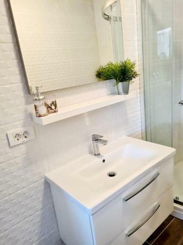 Apartmani Petra-3 Min From Beach