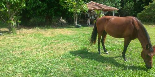Fazenda Dona Nai Frutuosa