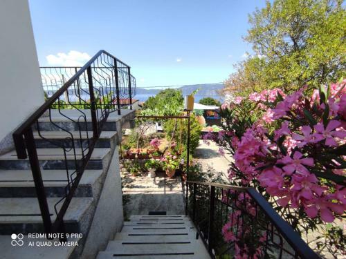 Apartments Marica