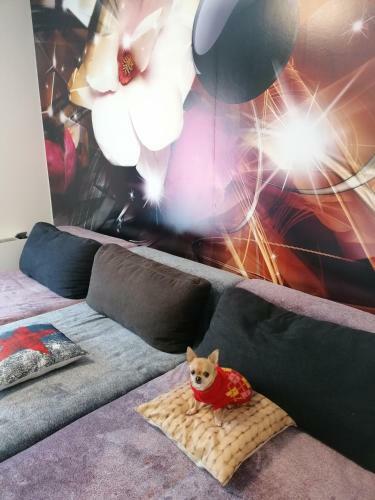 Orsi Apartman Kecskem�t