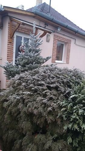 �denkert Apartmanh�z