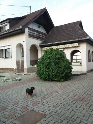 Hostal Vincze Vend�gh�z