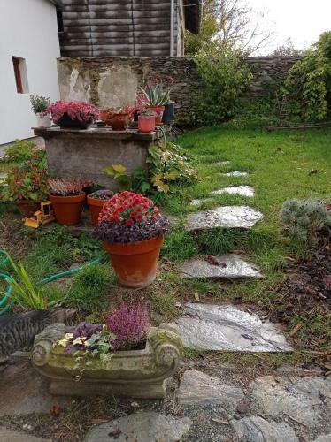 Apartamento 400 �ves H�z Vend�gh�z