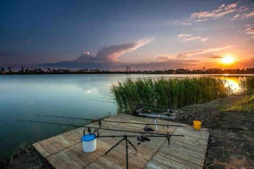 Modern Holiday Home In Holiday Park With Lake