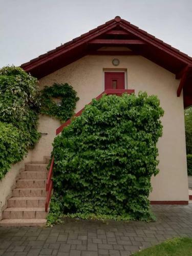 Apartamento Tuja Vend�gh�z