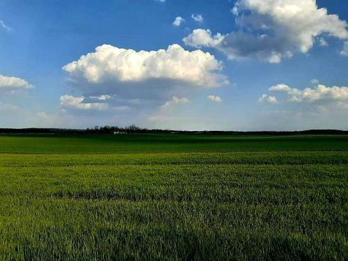 Bed & Breakfast Pagony Ber�nybenei Vend�gfogad�