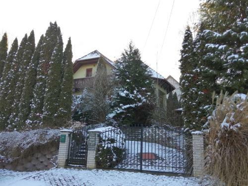 Z�ld Orom Vend�gh�z