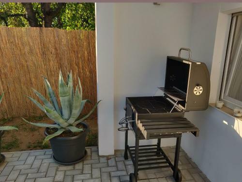 Eleven Apartman House