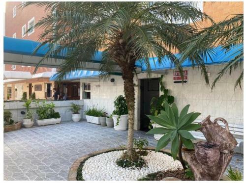 Apartamento Lindo Kitnet Studio Completo E Aconchegante