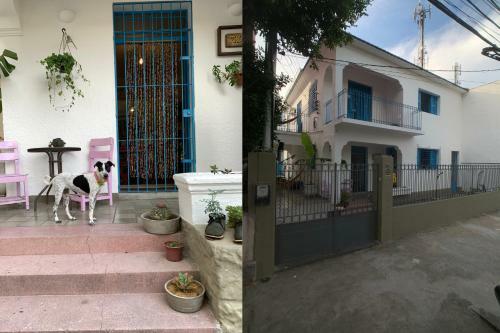 Zili Pernambuco - Hostel Pousada