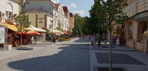 R�zsa Apartman