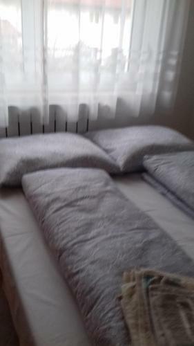 Apartman Venus