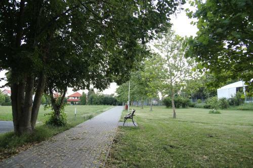 Apartment With Swing