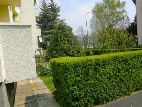 Apartamento Elizabet