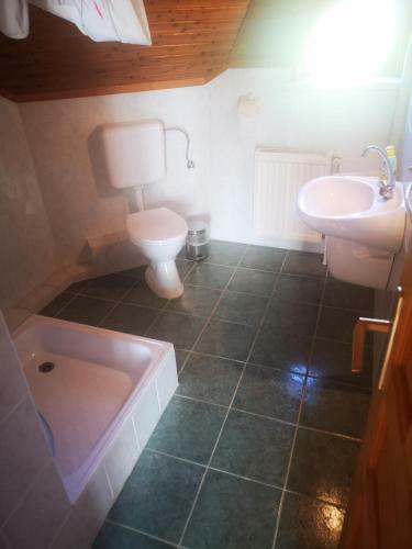 Z�ld S�lyom Apartman