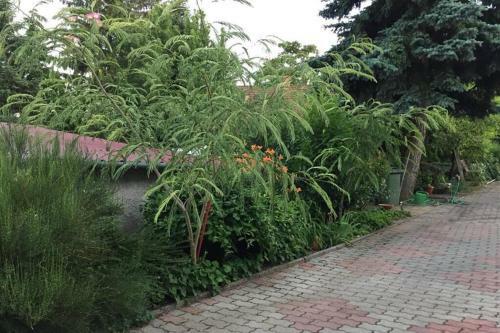 Jandi Apartman