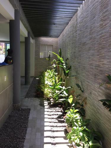 Resid�ncia Wawani A 150m Da Praia Do Borete