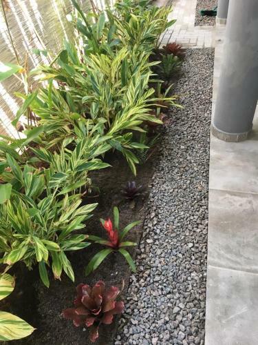 Resid�ncia Wawani A 150m Da Praia Do Borete