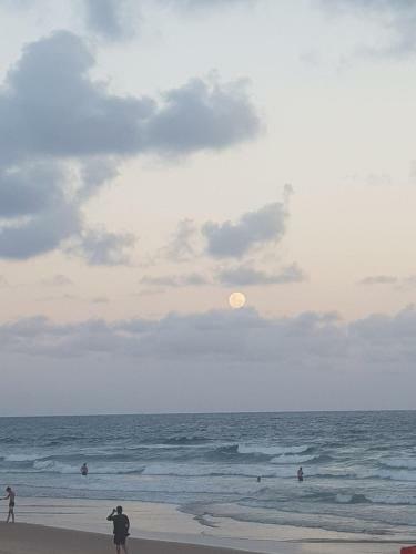 Apartamento Loft No Cupe Beach Living