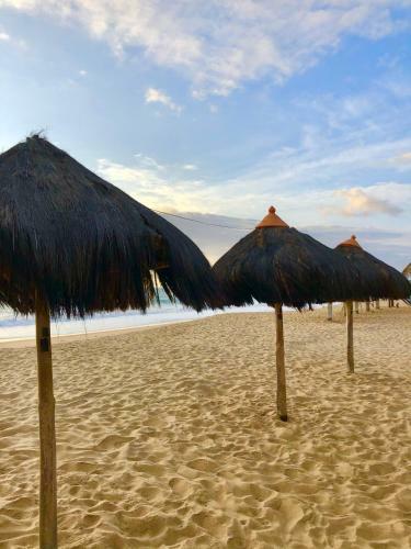 Casa Boutique Maraca Privativa Para 6 Pessoas Com Pets