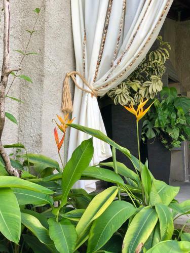 Casa Boutique Maraca Privativa Para 6 Pessoas Com Pets