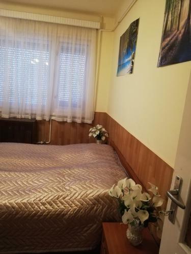 Hostal Szoboszl�f?nix Vend�gh�z