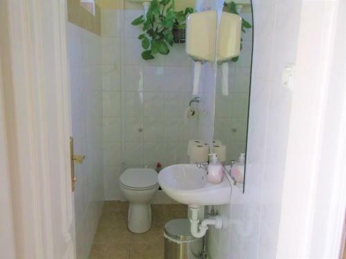 Big Apartman