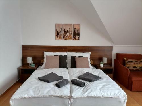 Hotel Aqua Oazis Apartman