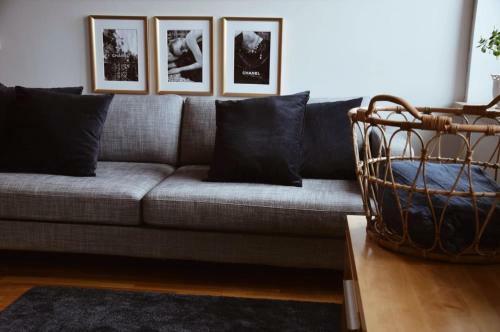 Hostal San Horses The Family