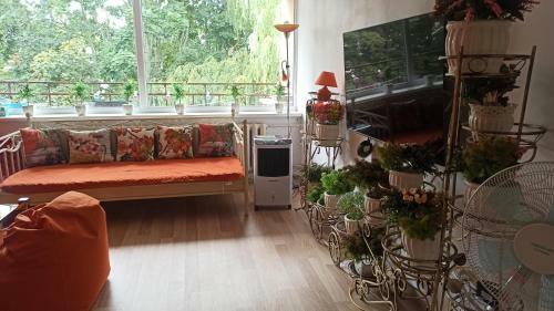 Rusne Apartment