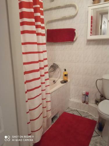 Apartamento Vieno Kambario Butas