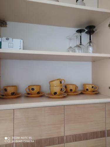 Rr Apartamentu Nuoma