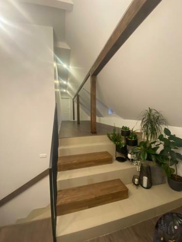 Apartamento Kamurke - Guest House