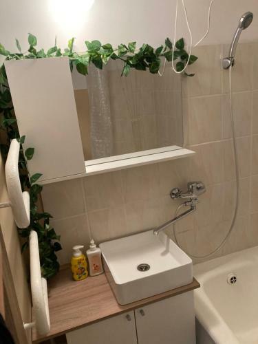Apartamento Nice To Stay