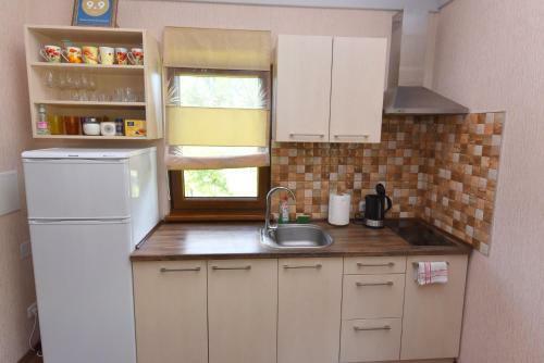 Vasarnamis Zarasuose