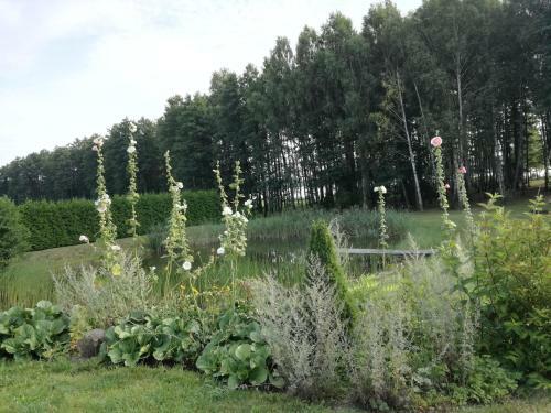 Agroturismo Lakeshore House