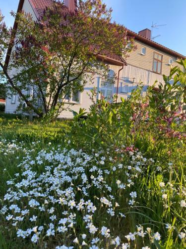 Skrunda Apartments Rustic