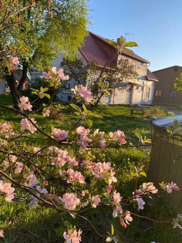 Skrunda Apartments Rustic