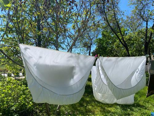 Skrunda Apartments Elandrum