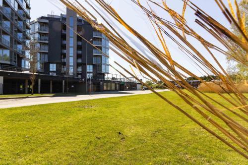 Elija Swan-toy Apartments 2