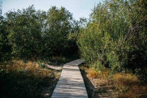 Apartamento Seaview, 5*appartment,rooftopterrace, Walktobeach