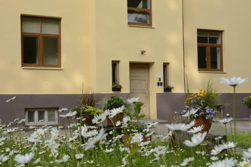 Baumanis Apartamenti