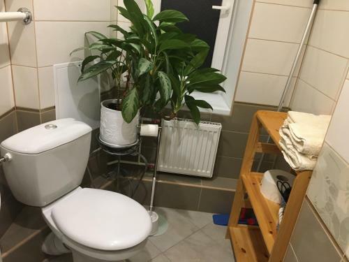 K.g. Apartment