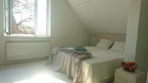 Villa Florance Apartments With Parking