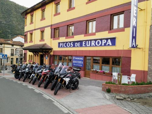 Hostal Hosteria Picos De Europa